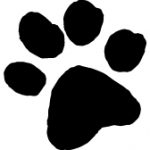 Paw